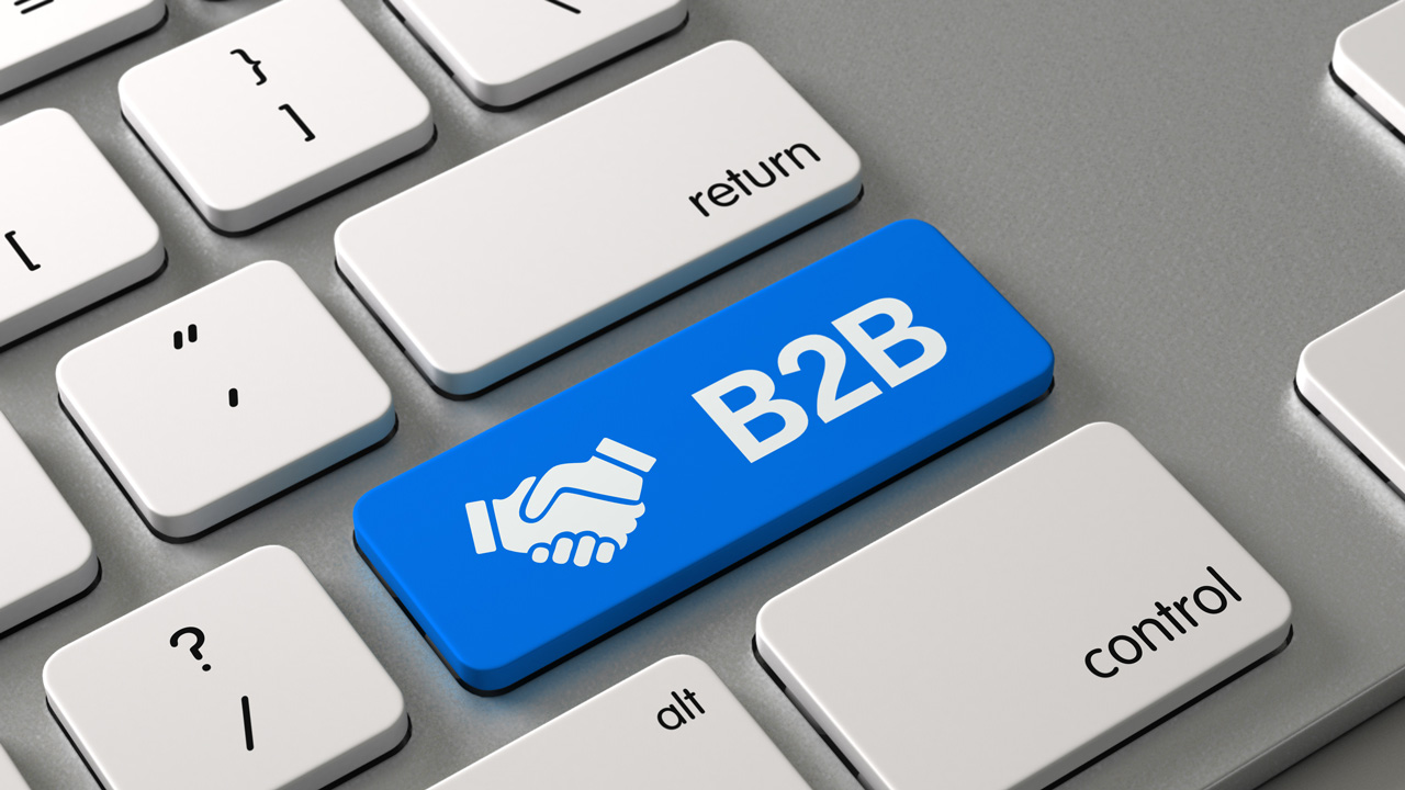 B2B E-Ticaret Sistemi